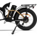 Bicicleta eléctrica Adultos Unisex 