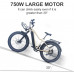  Bicicleta eléctrica para Adultos 26"Fat Tire 750W Bicicleta eléctrica para Hombre Mujer, 7 velocidades E-Bike con batería de Litio 48V 16A (Color : 48V/750W) 