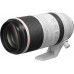 Objetivo RF 100-500mm F4.5-7.1L IS USM Objetivo RF 100-500mm F4.5-7.1L IS USM