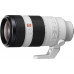 Sony FE 100-400mm f 4.5-5.6 GM OSS 